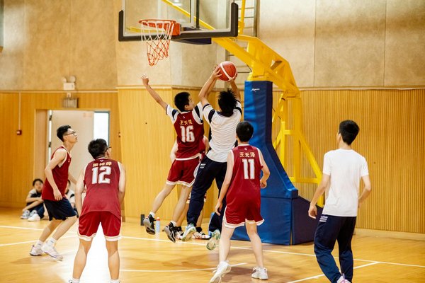 Mastering Match Calls: An Essential UK Fencing Coach's Guide to Video Replay Technology